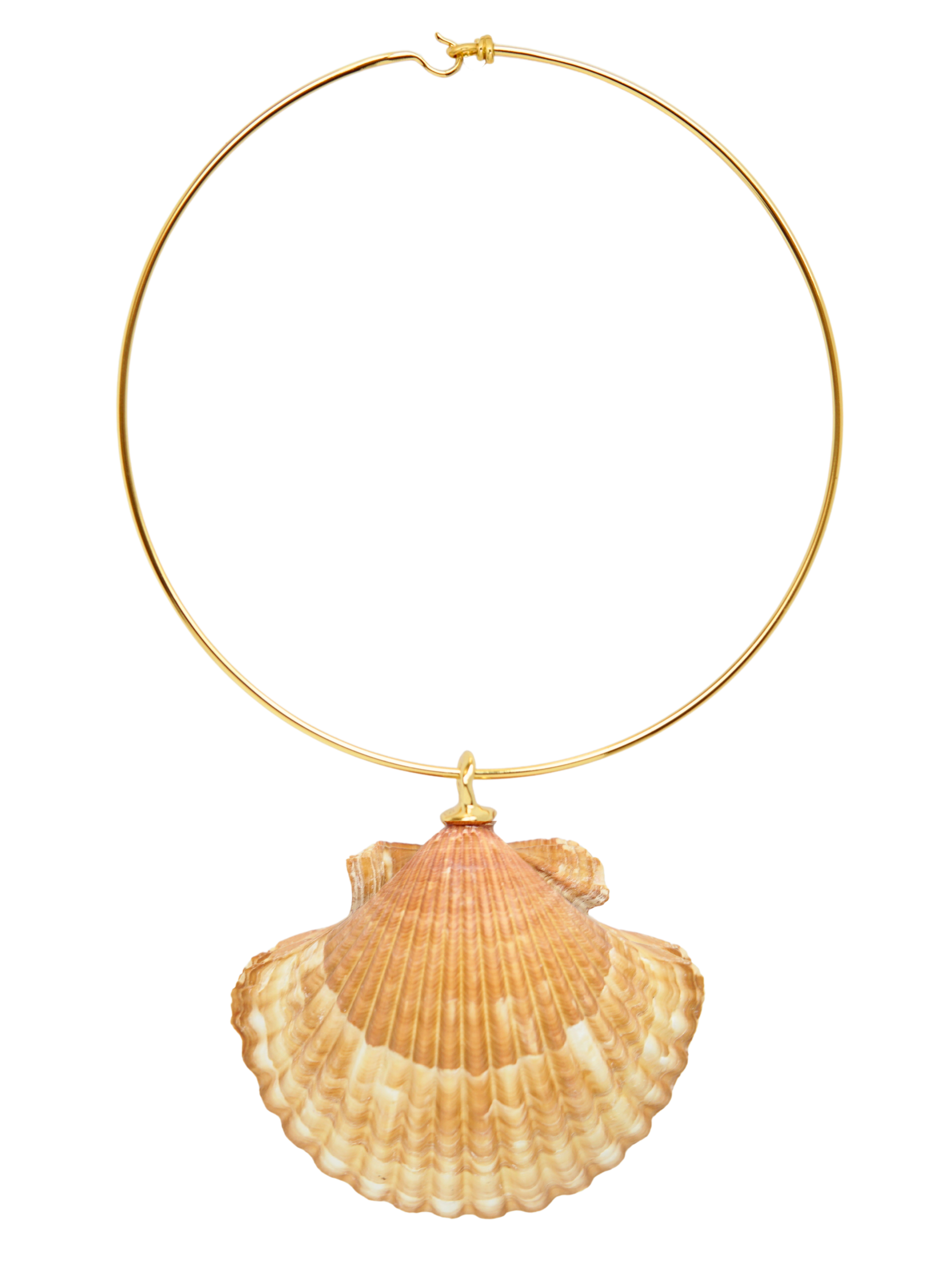 Ashore Collar