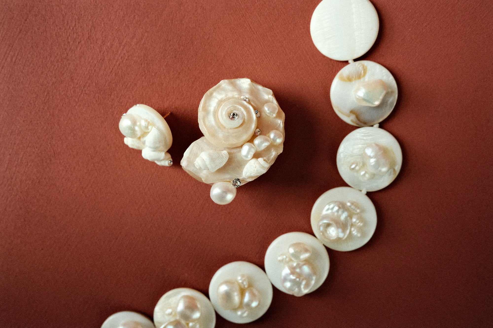 Seashell Earrings