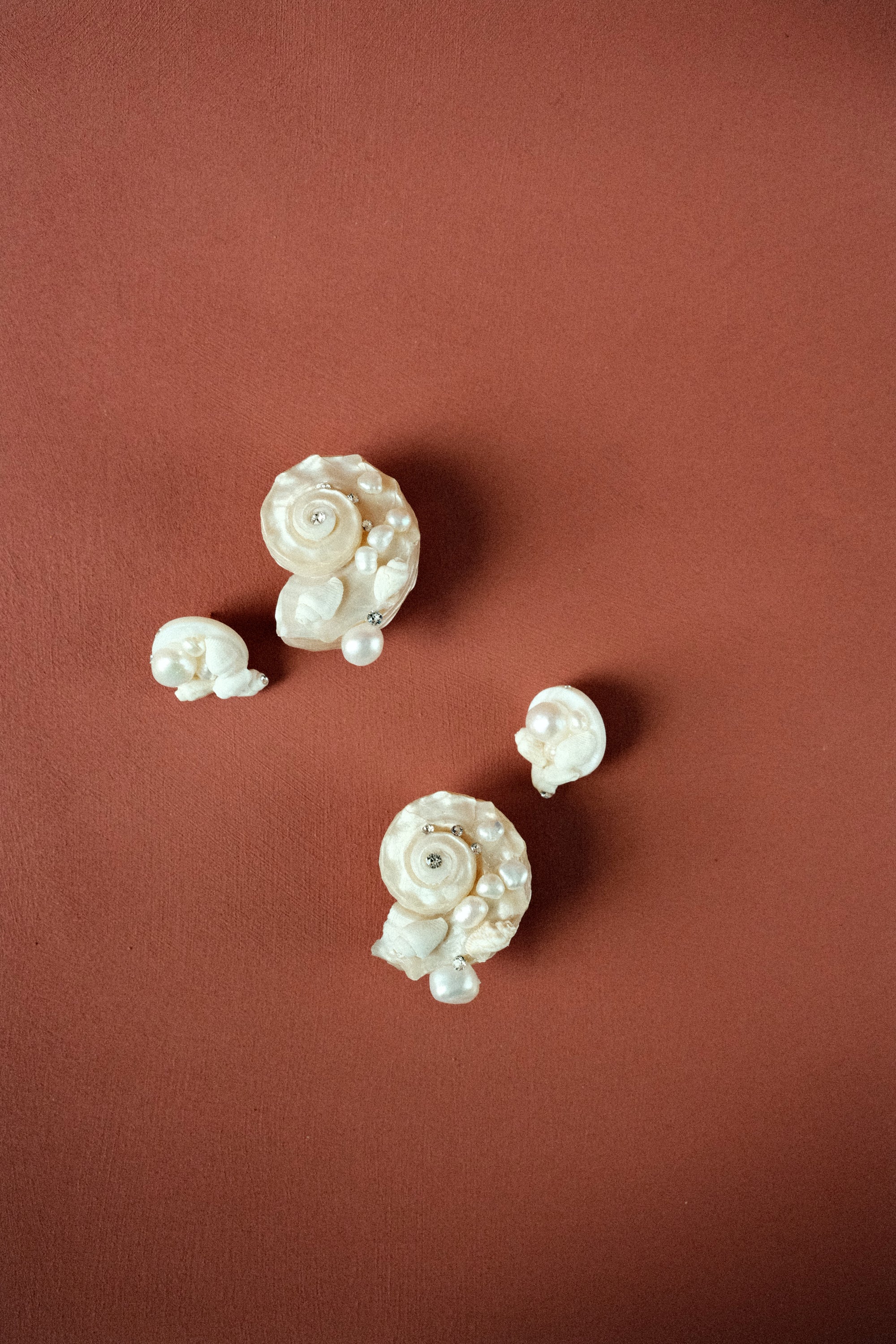Seashell Earrings